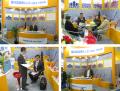 2010 Shanghai Bauma exhibition 2010-11-29