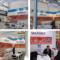 bauma