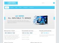 Leevision