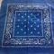 royalblue-paisley-bandana