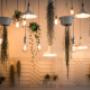 Light Installations