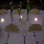 photos for Xiluva events