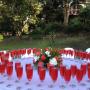 Welcome drinks in garden at Macnut Farm