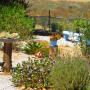 Fenced garden
