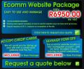 E-commerce Web Development