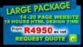 Large Website Design Packages