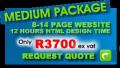 Medium Website Design Packages