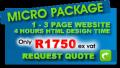 Micro Website Design Package