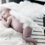 Angel new born
