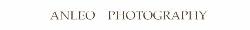 Anleo Photo & Video Productions