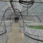 Welded Mesh Wall Reservoir