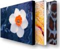 Stretched artists canvas prints