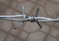High Quality Barbed Wire