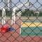 Chain-Link-Fence