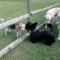 Socialisation