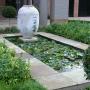 Pond