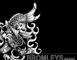 Bromleys Aquatic Specialists