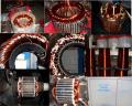 Electric Stator Rewinding
