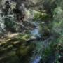 Montagu - Valley of the Natural Springs