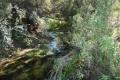 Valley of the Natural Springs