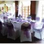 purple and white