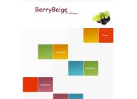 Berrybeige IT Solutions