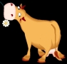 Milk Deliveries Daisy Dairy - Gauteng