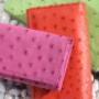 Ostrich Leather Products