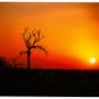 African Sunsets, with Alan Tours