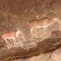 Bushman Paitings, with Alan Tours