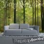Autumn Forest Wall Mural