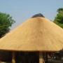 THATCH LAPA'S