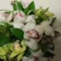 Orchid bouquets