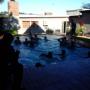 Fun in the pool