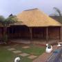 Lapa3