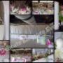 Flowers / Decor / Draping