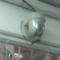 Dome