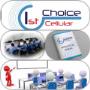 1st Choice