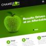 SEO Friendly Websites with CMS/Back End