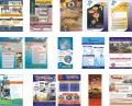 Flyer Design & Print