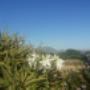 View from the tasting room