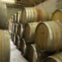 Barrels in cellar