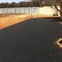TAR