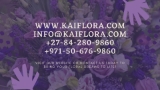 Kaiflora Contact Us