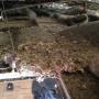 Ceiling Before Clean