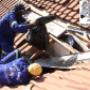 Installing bird-proofing