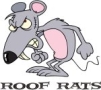 Roof Rats