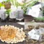 Guest Soaps and Amenities