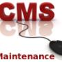 CMS Website Maintenance