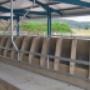Feed Trough